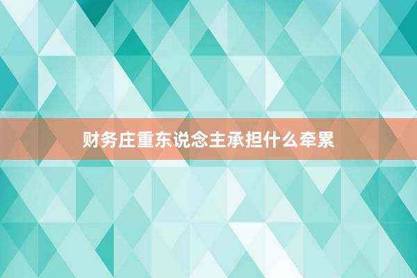 财务庄重东说念主承担什么牵累