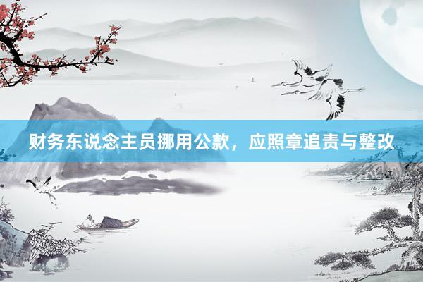 财务东说念主员挪用公款，应照章追责与整改